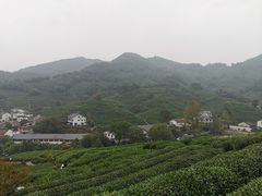 -龙井壹号·茶缘山景宴(龙井村店)