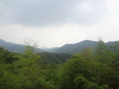 -宁波浙东大竹海景区