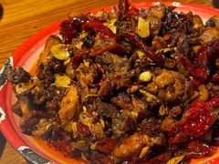 -柴窝堡22号辣子鸡·传承新疆菜