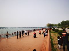 -丁香湖公园