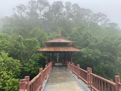 -大雁山风景区
