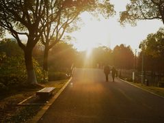 -白塘生态植物园