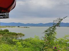-小赖鱼馆