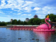 -莲花池公园