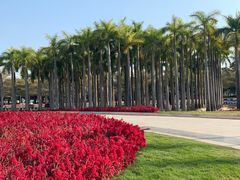 -深圳国际园林花卉博览园