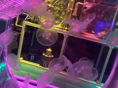 -沈阳海洋探索中心