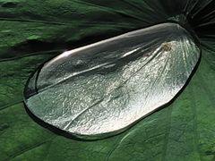 -西南交通大学(九里校区)