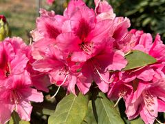 -名花谷生态庄园