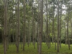 -秦皇岛野生动物园