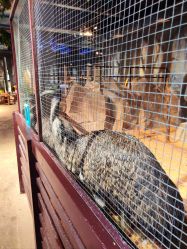 -酷嗒动物文化乐园(cutezoo西溪乐天城店)