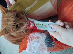 -塔斯汀中国汉堡(徐汇汇京广场店)