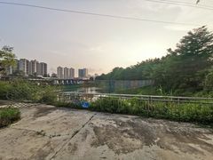 -庭苑美食中心·陈皮烧鹅·海鲜(台山店)