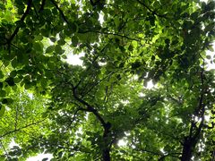 -boundaries籬苑(瑞光创意工厂-贰号院店)