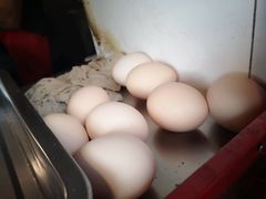 -盛扬煎饼果子(总店)