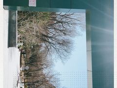 -滨河世纪广场公园