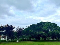 -江心屿景区
