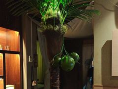 -海悦容庭SPA·按摩·推拿(埌西店)