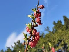 -乌山风景区