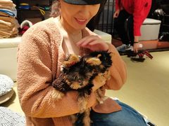 -逗柴咖啡屋·狗咖猫咖宠物桌游