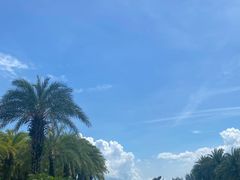 -惠州金海湾嘉华度假酒店