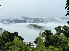 -莫干山风景区