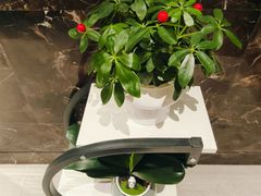 -海底捞火锅(盈石八一广场店)