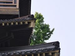 -香积寺