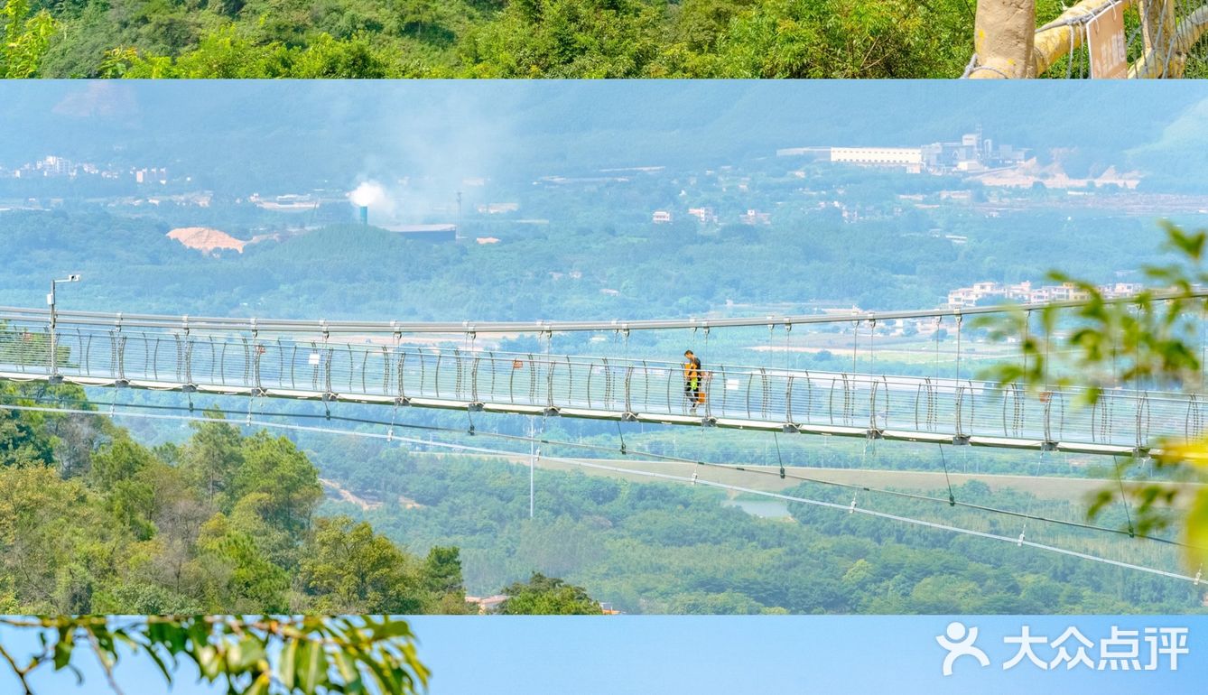 广州拍照61天然氧吧南丹山森林王国一日游攻略