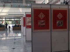 -合肥市图书馆