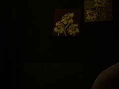 -心足私家足疗SPA(深圳湾店)
