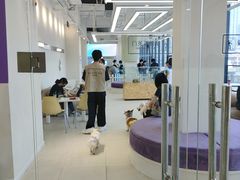 -怪兽屋·羊驼·猫咖·狗咖(俊华广场店)