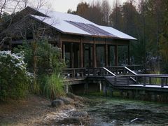 -长广溪湿地公园