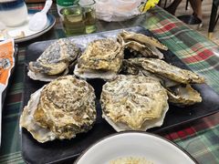 特色炊蚝-大富蚝乌东哥饭店·石锅鱼杂·柠檬鸭(革新路店)