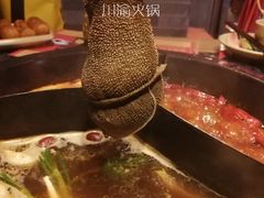-蜀大侠火锅(森兰花园城店)