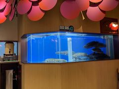 -望蓉城·古法酸菜鱼(世纪汇店)