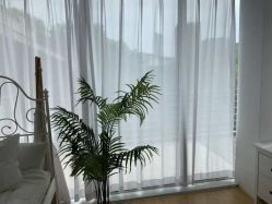 -小阿福儿童摄影(光谷时代广场店)