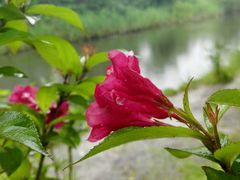 -新江湾城公园