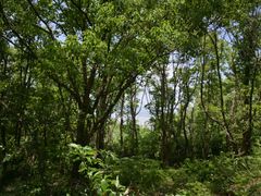 -东山风景区(洞庭东山)