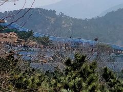 -西霞口神雕山野生动物世界
