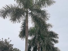 -广州市白云山风景名胜区