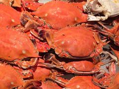 -星伦多自助料理·涮烤一体(嘉兴八佰伴店)