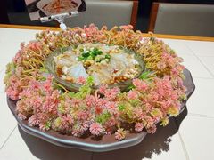 -五马集·海鲜·温州大牌档(黑金冠五马街十字路口店)