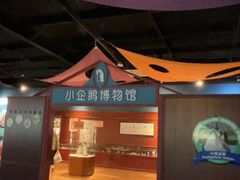 -海合安武汉极地海洋公园