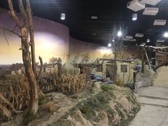-新四军黄桥战役纪念馆(新馆)