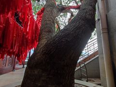 -仓山金山寺