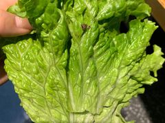 -蚝英雄鲜蚝自助专门店(长楹天街直营店)