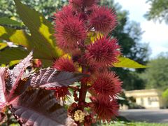 -森林公园(尖草坪区)