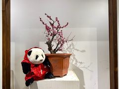 -石家庄市植物园