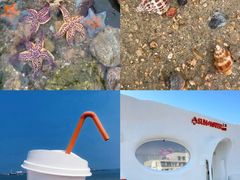 -巧克力渔家.小船海鲜胶东菜(万平口店)