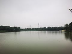 -昆山城市生态森林公园